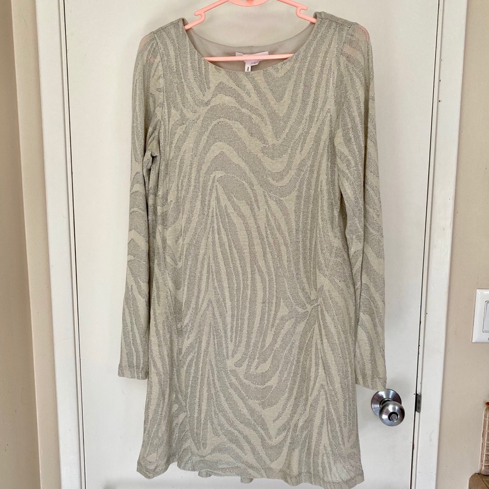 BCBGeneration Silver Long Sleeve Dress